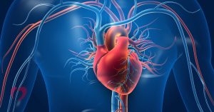 Read more about the article Chirurgia Vasculară – Cum Se Desfășoară O Consultație?