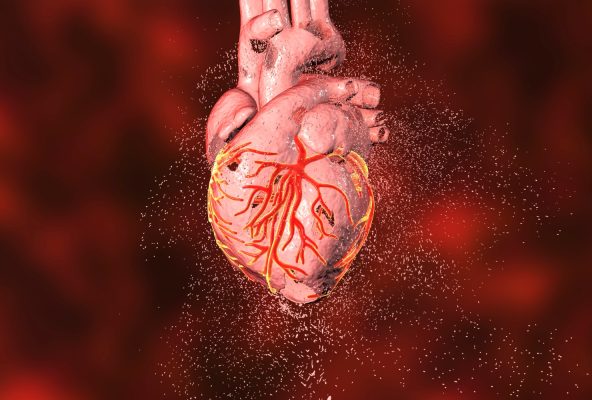 sanatatea inimii